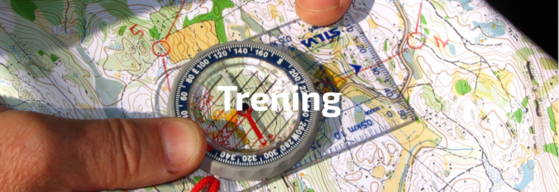 Trening og opplæring - løp i Børsa